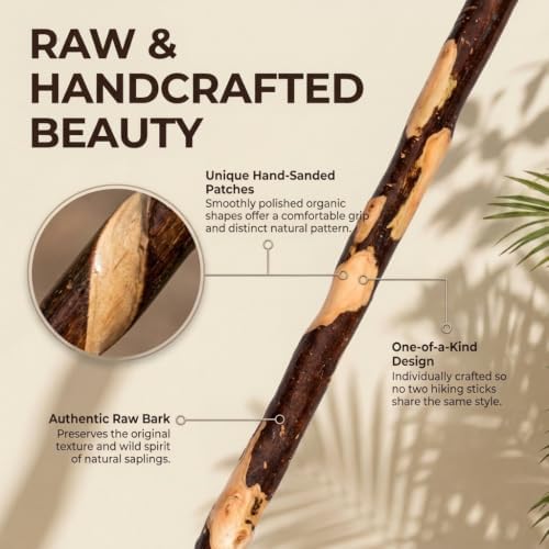FOREST PILOT Handcrafted Nature Wood Hiking Stick 55 Inches Long - with Hand Strap and Rubber Tip Cover - Transparent Waterproof Painting Coating