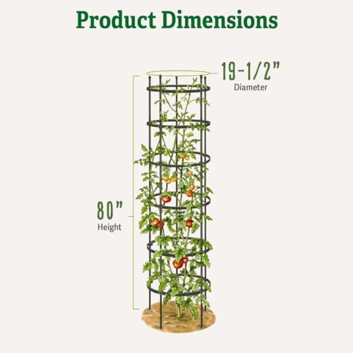 Gardener's Supply Company Titan Extra Tall Tomato Cages I Set of 3 - Sturdy Steel Core Plant Support Trellis for Vegetables & Climbing Plants