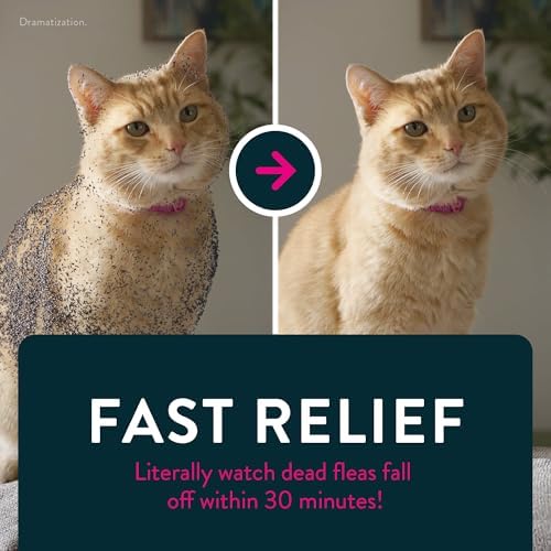 Capstar (nitenpyram) Cat Flea Treatment, Fast-Acting Oral Flea Treatment for Cats 2-25 lbs