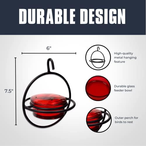 Monarch Abode Hanging Hummingbird Feeders for Outdoors – Single Handcrafted Hanging Glass Hummingbird Feeder with Red Bowl & Perch