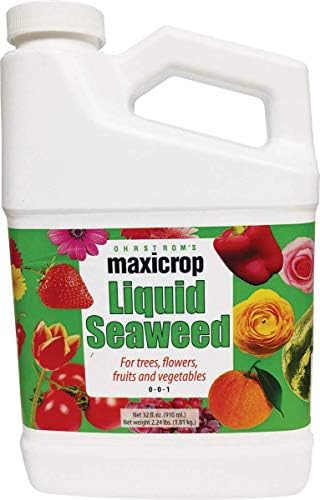 Maxicrop Original Liquid Seaweed, 1 Gallon (Packaging May Vary)
