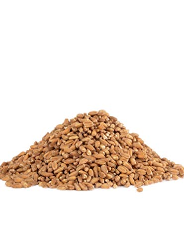 Bob's Red Mill Organic Farro Grain, 24oz