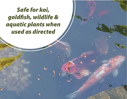 Bloom Buster Pond Algae Control - 16oz - Fast Acting Algaecide, Use in Fountains & Outdoor Ponds Containing Koi & Other Fish - EPA Registered