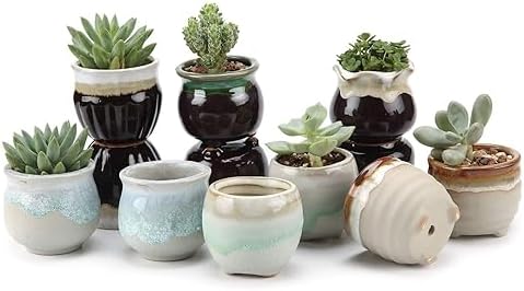 T4U Mini Succulent Ceramic Pots for Gifts, Small Planters for Decor 6 Pack | Planters with Drainage, for live cactus plants, bonsai tree starter pots, indoor windowsill decor, office desk accents