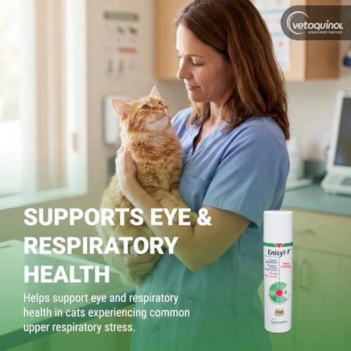 Vetoquinol Enisyl-F - Lysine Supplement for Cats - Daily Immune Support - Everyday Feline Health Support - Tasty Oral Paste - Tuna Flavor, 3.5oz Pump