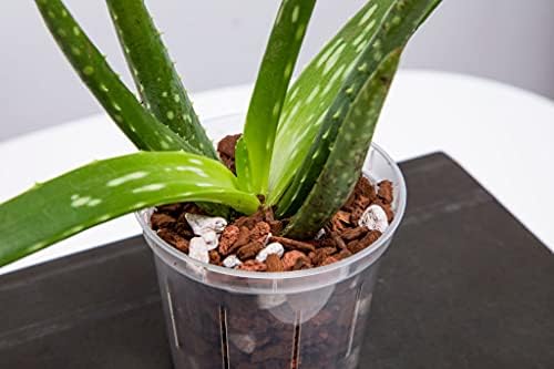 Orchid Pot Growers Assortment (8 Slotted Clear Orchid Pots - 2 Each of 3, 4, 5, 6 Inch) - Premium Orchid Planters, Orchid Pots with Holes for Repotting