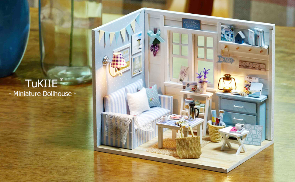 DIY house