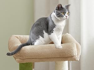 Cat Tree Tower