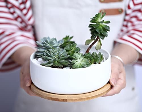 LANKER 6.3 Inch Round White Ceramic Succulent Planter Pot with Bamboo Tray