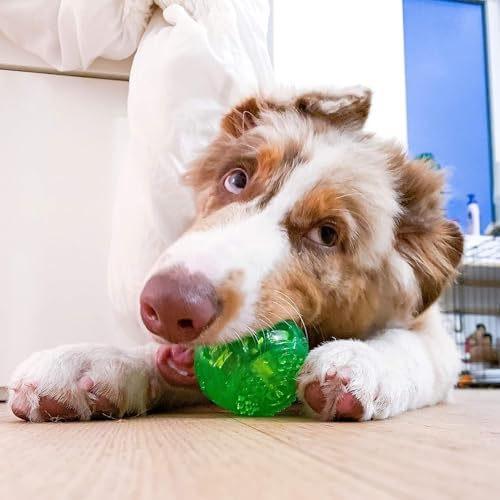 Hyper Pet DuraSqueak Dog Ball Toy, Interactive Dog Toys that Float and Squeaks for Playing, Fetching and Retrieving-Great Alternative to Traditional Tennis Balls Green 2.5 Inch | Bold sound effects reward play, a fresh alternative to traditional tennis o…