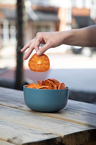 Fruit for Thought Dried Persimmons, No Sugar Added, 12 oz, Pack of 2