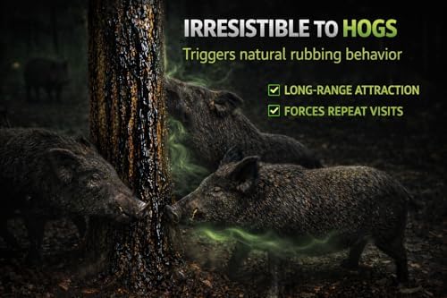 Pig Oil - Wild Hog Attractant - Long Lasting Hog Hunting Lure for attracting and harvesting Feral Hogs Around Your Feeder or Stand