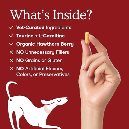 Fera Pets Heart Supplement - Taurine for Dogs & Cats, 60 Capsules