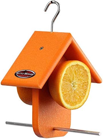 Recycled Single Oriole Orange Fruit Feeder