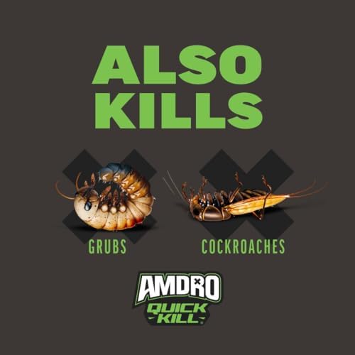 Amdro Kills Ants & Spiders Granules Shaker Bag 3lb | Kills up to 100 insects, covers 3,000 SQ, lasts 3 months, spider and ant killer for lawns