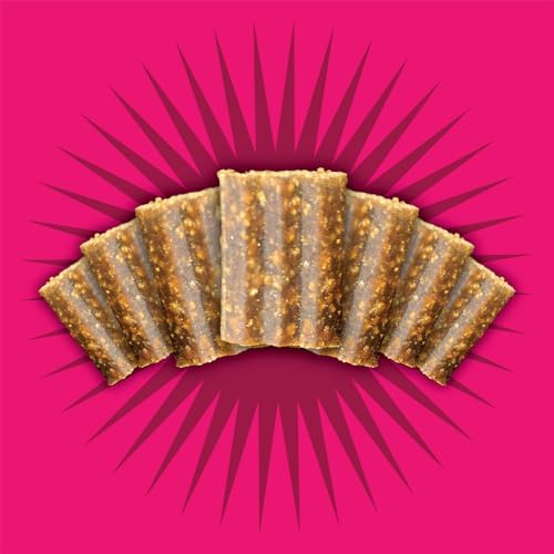 Triumph Free Spirit Grain Free Salmon and Vegetable Recipe Jerky Bites Soft Dog Treats, 20 Ounce (Pack of 2)