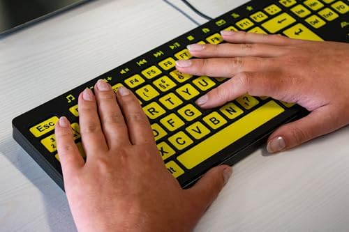 Clevy ALT ClearKeys Keyboard and Keyguard Combo - Large Print High Contrast USB Wired Keyboard for Visually Impaired + Custom Keyguard for Temporary