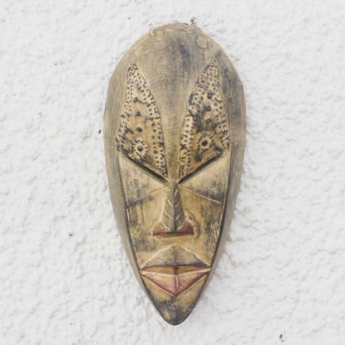 NOVICA Hand Carved African Wall Mask 'Brilliant Mind'