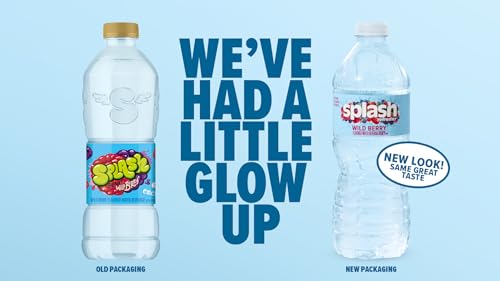 SPLASH REFRESHER Flavored Water Bottles, Lemon - 6 Pack | Refreshing Flavored Bottled Water with Electrolytes - Zero Sugar & Zero Calories - 16.9 Fl Oz