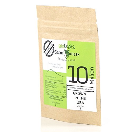 Scanmask Beneficial Nematodes, Steinernema feltiae Sf Nematodes for Natural Insect Pest Control (10 Million)