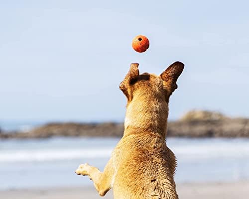 Chuckit! Fetch Pack Dog Balls - Interactive Dog Toys, High-Bounce Fetch Ball, Floating Ultra and Rugged Balls, Durable - Size Small, 2-inch Diameter, Set of 3