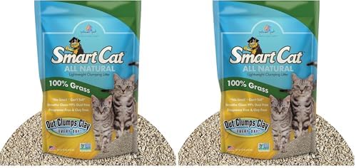 SmartCat All Natural Clumping Cat Litter, 10 Pound (160oz 1 Pack) - Alternative to Clay and Pellet Litter - Chemical and 99% Dust Free - Unscented and Lightweight