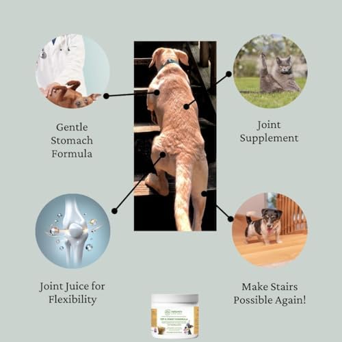 Nature's Pure Edge Glucosamine Powder for Dogs and Cats - Joint Supplement with Chondroitin MSM and Turmeric for Hip and Joint Support - Senior