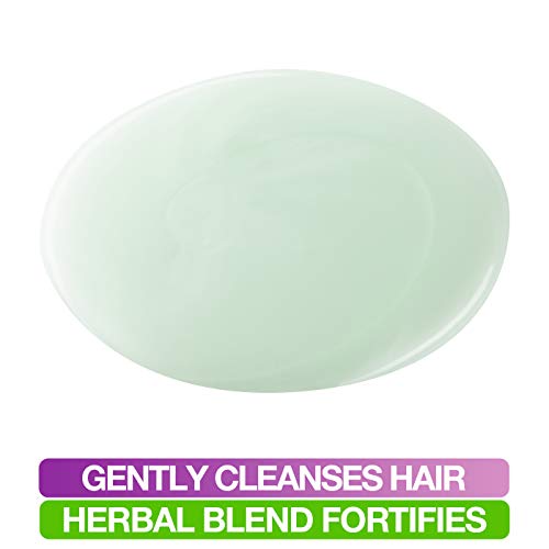 Mane 'n Tail: Herbal Gro Shampoo + Conditioner (12 oz Each), Olive Oil Complex That Helps Strengthens & Nourishes Hair