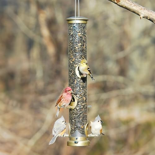 Aspects 395 Quick-Clean Seed Tube Feeder, Medium - Antique Brass