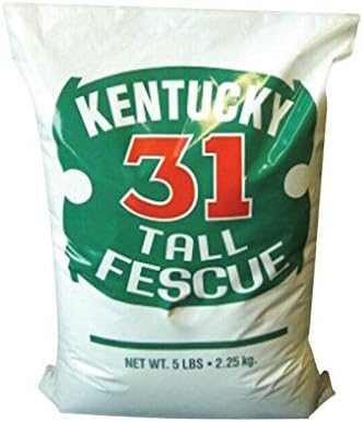 Barenbrug Kentucky 31 Tall Fescue Grass Seed 1000 Sq. Ft. Polybagged 5 Lb.