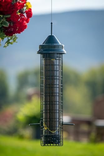 Squirrel Buster® Nyjer® – Squirrel-Proof Nyjer®/Thistle 2.4-pound Seed Capacity Feeder w/8 Feeding Ports & 4 Perches, Easy Fill & Clean