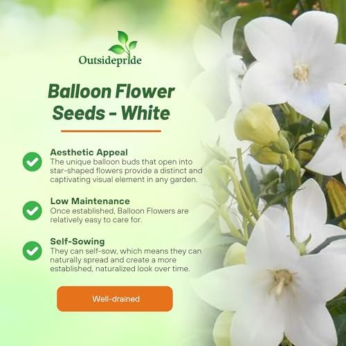 Outsidepride Blue Balloon Flower Seeds for Planting – 1000 Pcs Perennial, Drought-Tolerant, Easy to Grow, Low Maintenance, Pollinator-Friendly, Star-Shaped Blooms for Outdoor Gardens and Borders