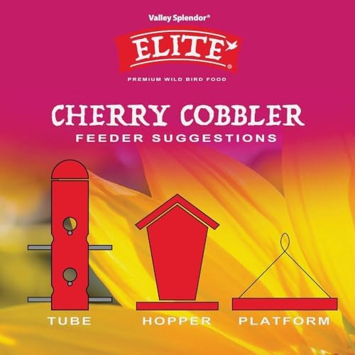 Cherry Cobbler