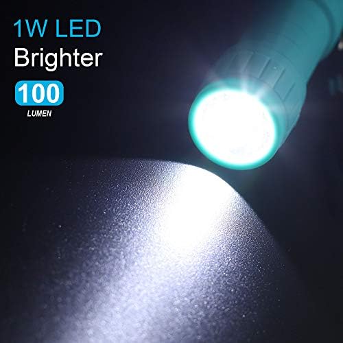 FASTPRO 10-Pack LED Mini Flashlight Set with AAA Batteries (1W)