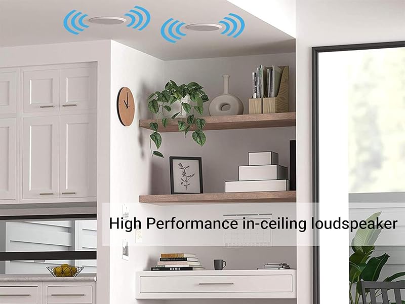 FEATURES OF CEILING SPEAKERS