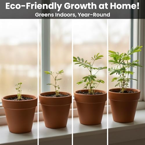 Zombie Plant Seed Packets – Grow a Live Sensitive Plant that Plays Dead When Touched! Indoor Plant Seeds & Educational STEM Activity | House Plant Seeds | Unique Garden Seeds – 2 Pack