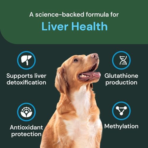 VetriScience Veterinary Strength Liver Health Chews - Canine Liver Care Supplement for Detox Support - Dog Supplement - Supports Immune System - No