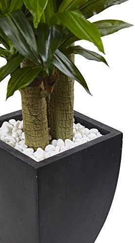 Nearly Natural 5.5ft. Corn Stalk Dracaena with Black Wash Planter