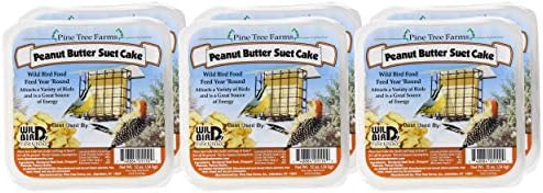 Pine Tree 1421 Peanut Butter Wild Bird Suet Cake, 3-Pound