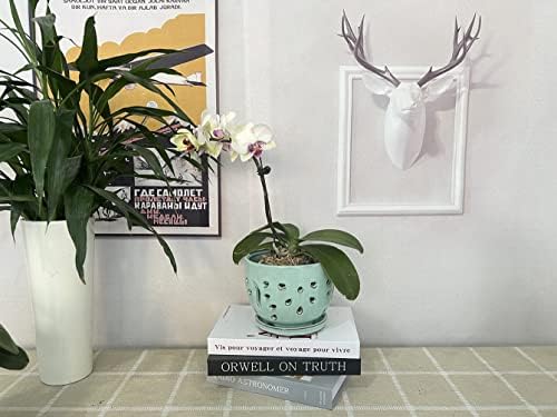 Orchid Pots with Holes Round Ceramic Flower Container Succulent Plant Planter Butterfly Pot Saucer Windowsill Contemporary Home Decoration (6 Inch