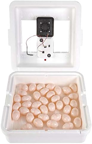 Little Giant White Miller Manufacturing Company 9300 Digital Still Air Incubator