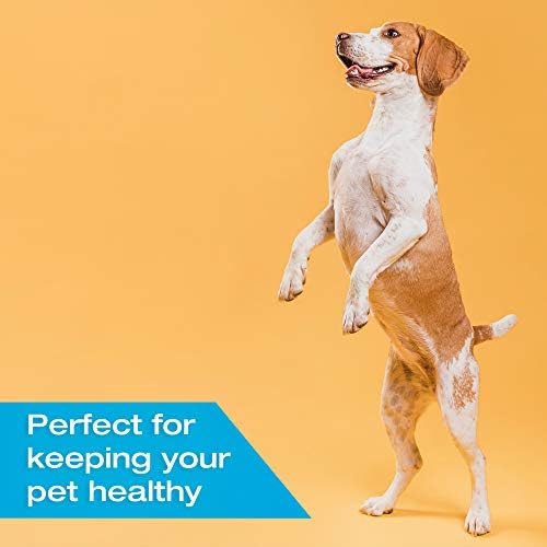 U40 Pet Insulin Syringes with Needle: 29 g 0.3 Cc 12.7 mm 1/2"- 100-Pack