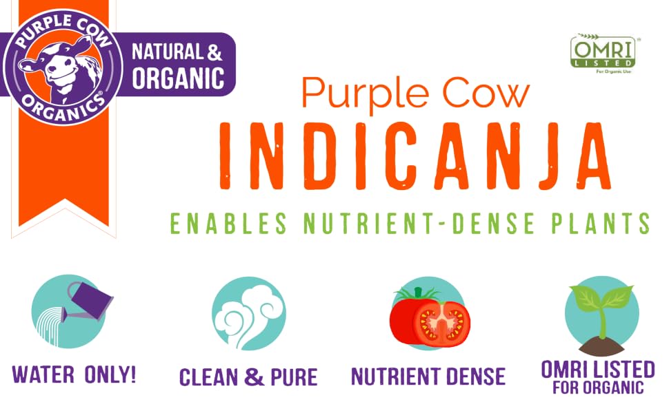 Purple Cow IndiCanja Enables Nutrient Dense Plants Water Only Clean and Pure Nutrient Dense