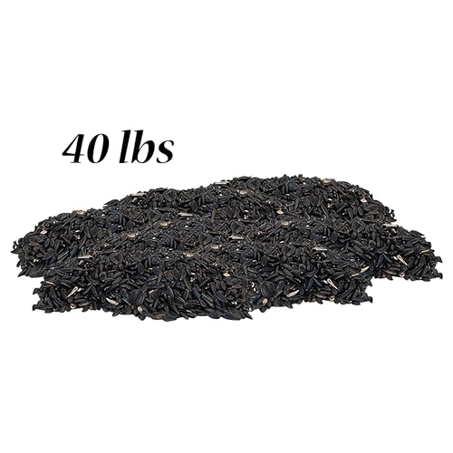 Black Oil Sunflower Seed, 40 lbs.