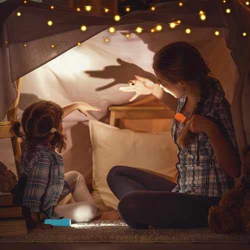 FASTPRO 10-Pack 9-LED Mini Flashlight Set with AAA Batteries Included | Small FLashlights with Lanyard, For Class Teaching, Camping, Wedding Favor