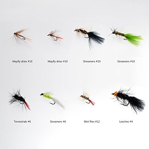 BASSDASH Fly Fishing Assorted Flies Kit, Pack of 64 pcs Including Dry and Wet Flies, Nymphs, Streamers, Terrestrials, Leeches and More