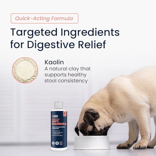 Anti-Diarrhea & Gas Relief for Dogs – Kaolin Formula to Soothe Upset Stomach & Support Digestive Health – All Breed & Size Dogs – 8 fl oz