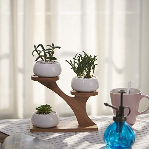 FLOWERPLUS Planter Pots Indoor