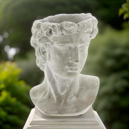 Greek Statue Head Cement Man Head David Planter (9")
