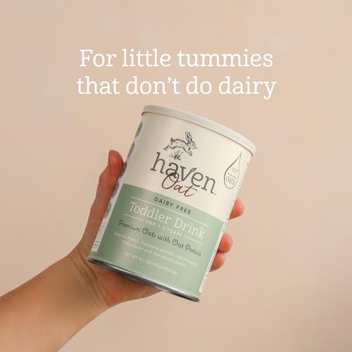 Haven Oat Toddler Formula, Dairy Free, 12+ Months, 14.1oz | European Oat Protein, No Corn Syrup or Maltodextrin, No Palm Oil, Plant-Based DHA Omega-3, Prebiotics & Probiotics, Lutein